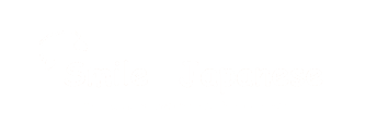 外国人の子供の為の日本語スクール｜学校の授業サポート